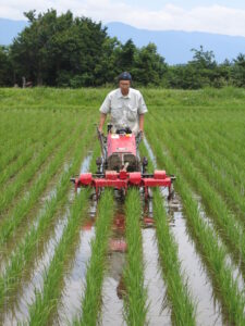 除草機による除草作業