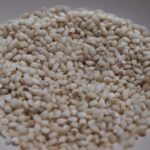 白毛もち米玄米