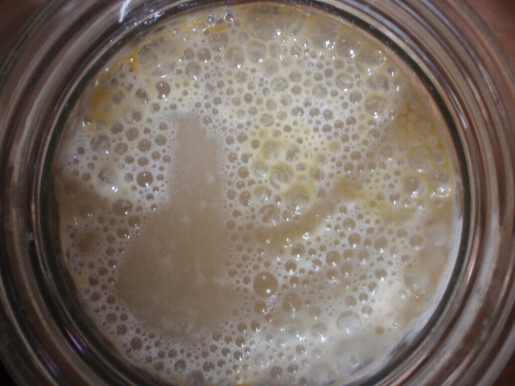 無農薬米との比較実験で腐敗した一般米