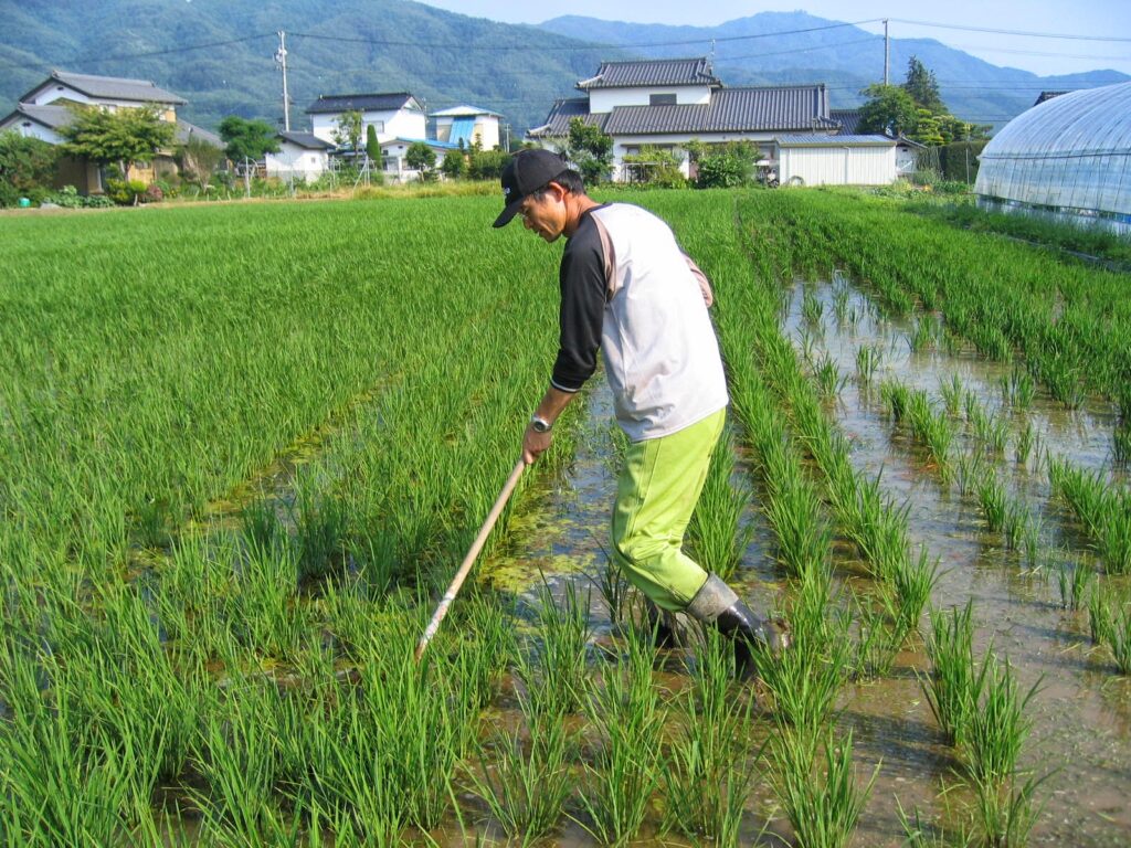 けずっ太郎による、除草作業