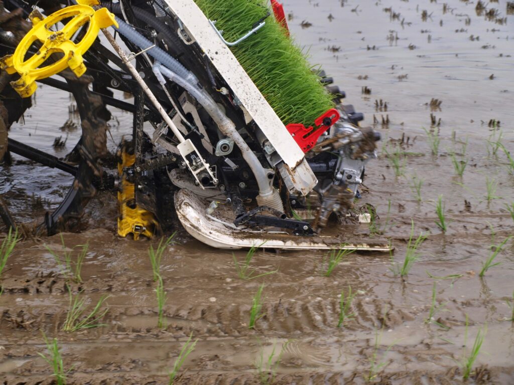 ローターは、苗が土に刺さる位まで、攪拌、聖地してくれまし