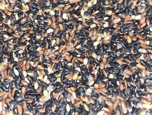 古代米ミックス