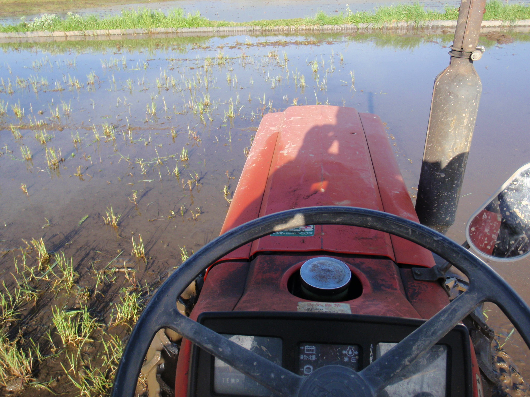 2016年の栽培記録と気象データ