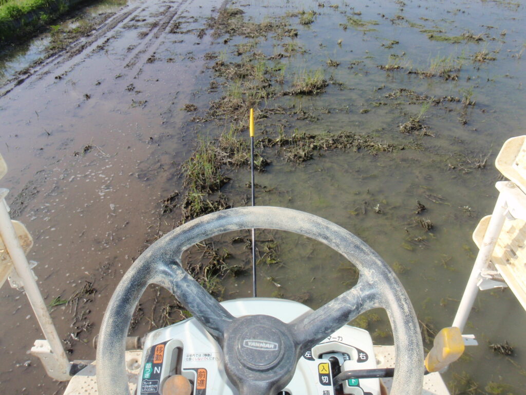 冬の間、用水の水量が十分確保できず、雑草が少し生えている圃場を田植え機の整地ローターで整地している様子