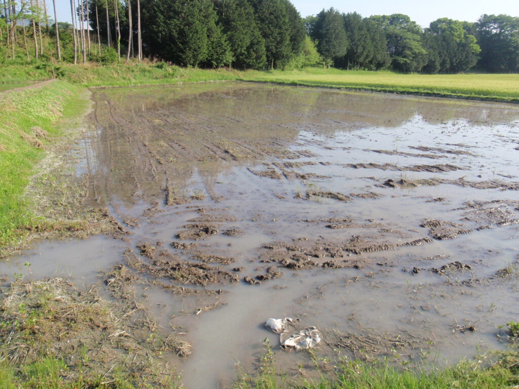 田植え機の整地ローターで、整地後の様子。