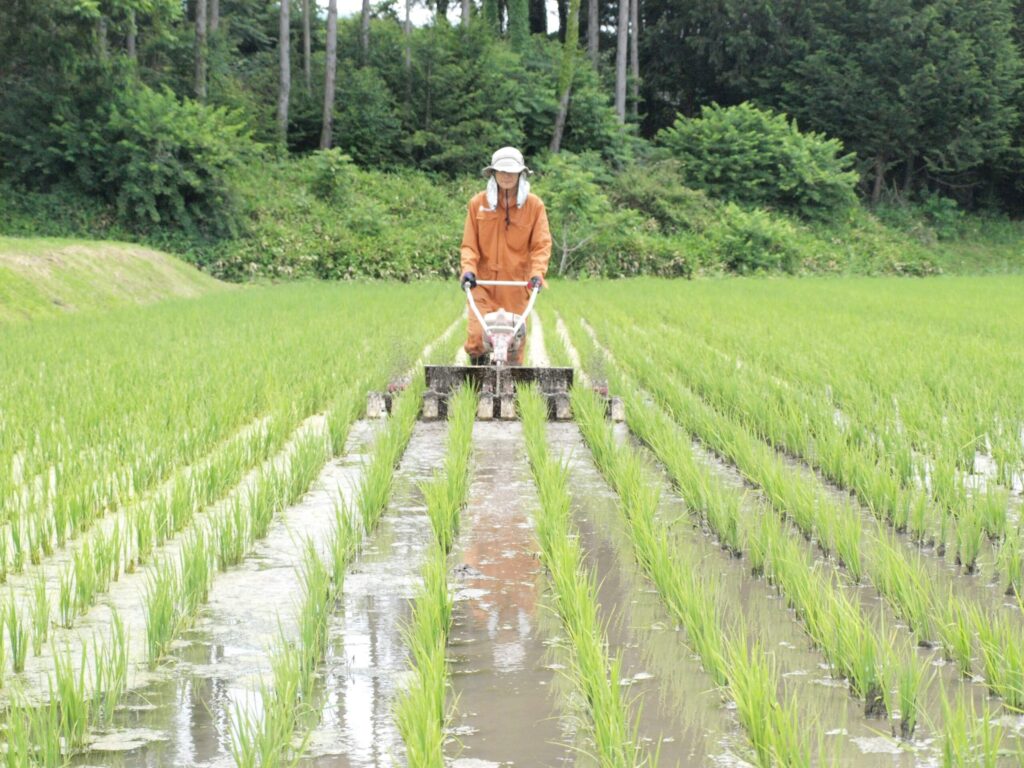 当農家の圃場で、除草機を押している小牧久幸