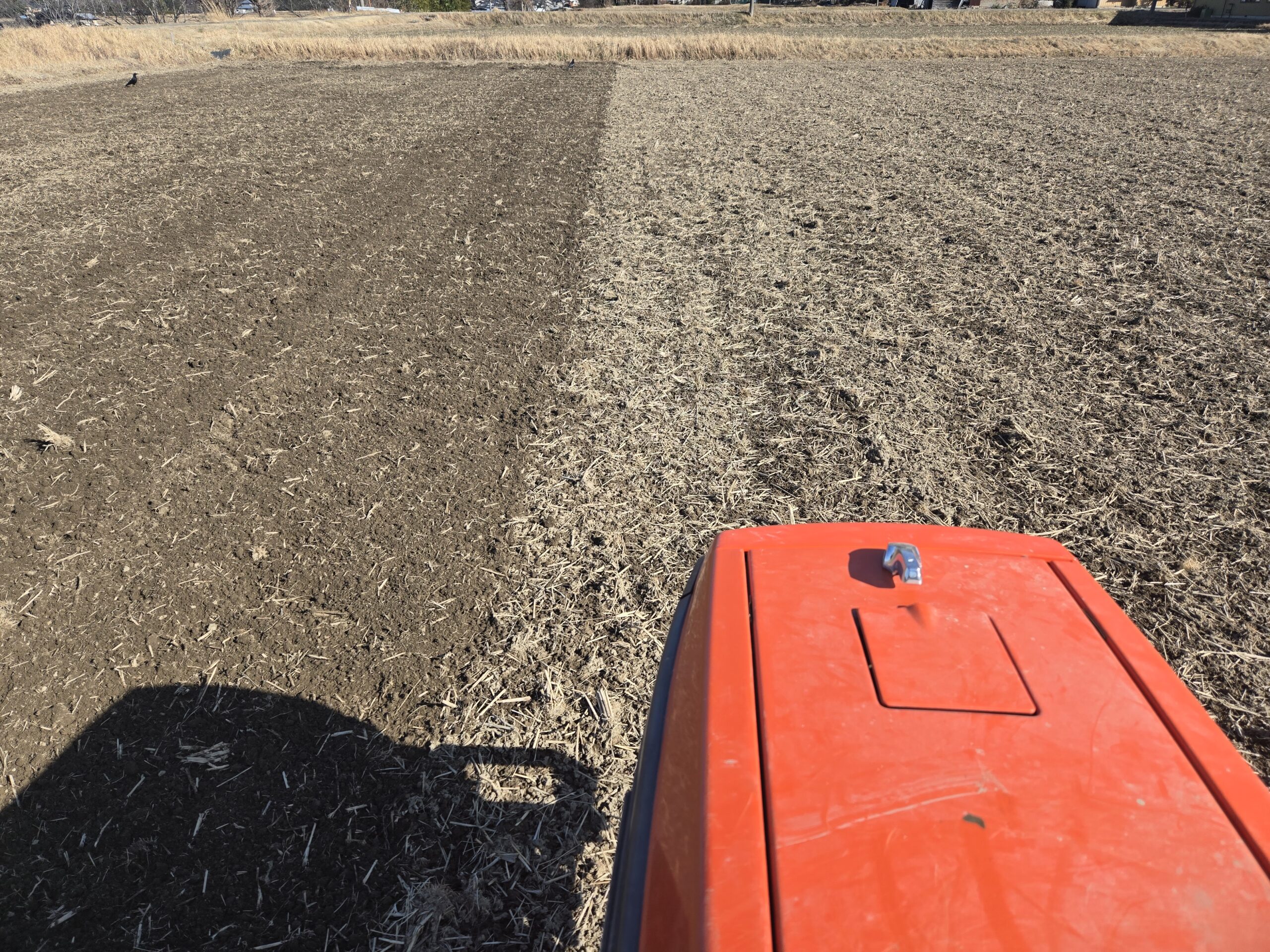 2026年の栽培記録と気象データ