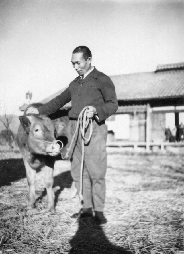 牛を引く、二代目