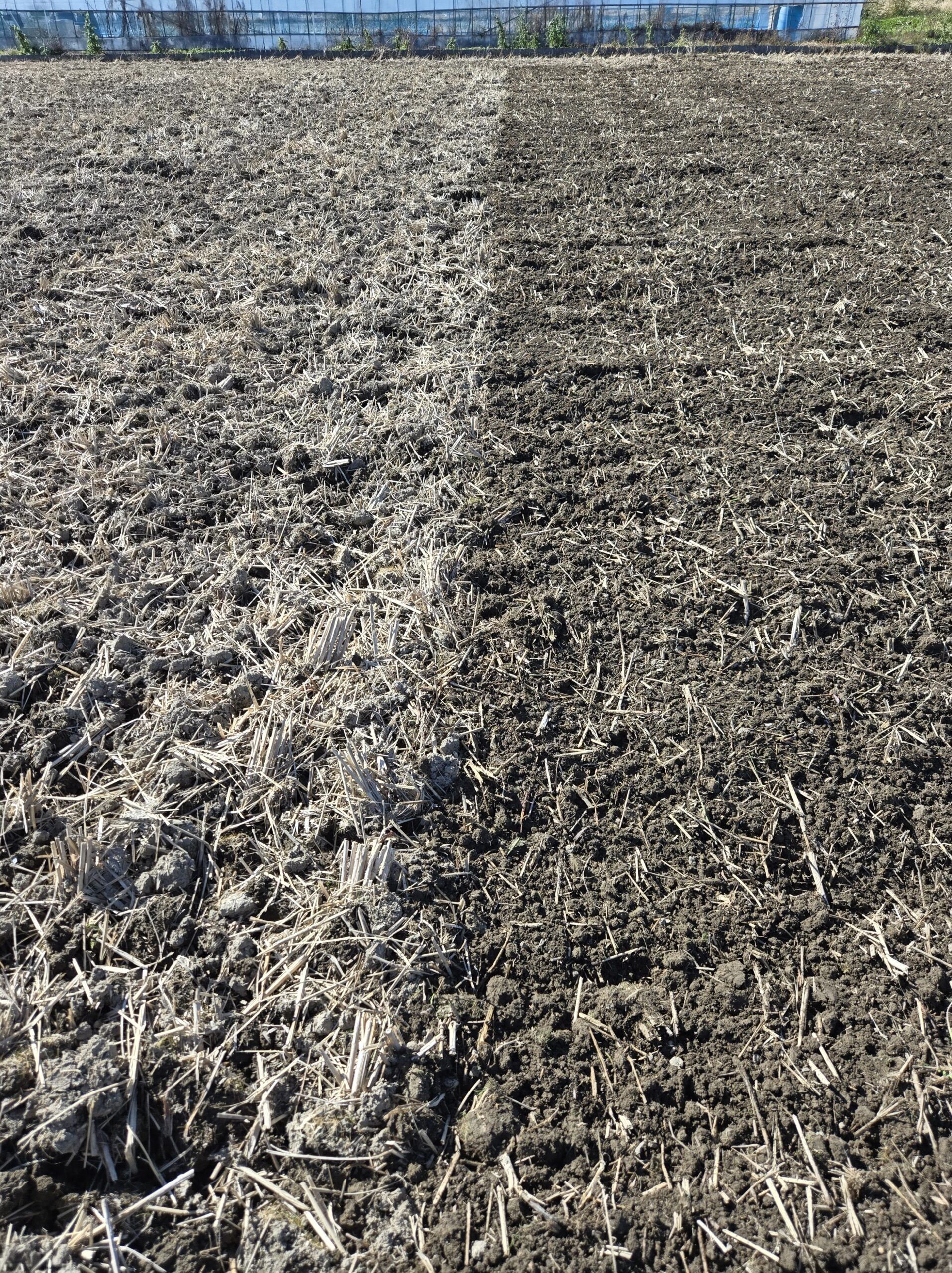 冬期耕起2回目の田んぼの様子