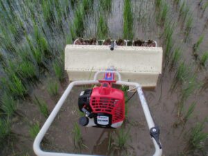 カルチ中耕除草機を押している様子