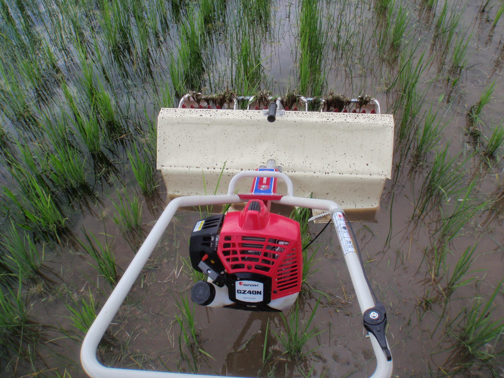 【第5話】不耕起田の難敵・クログワイとの闘い。私がチェーン式から、シャフトドライブ式除草機を選んだ理由