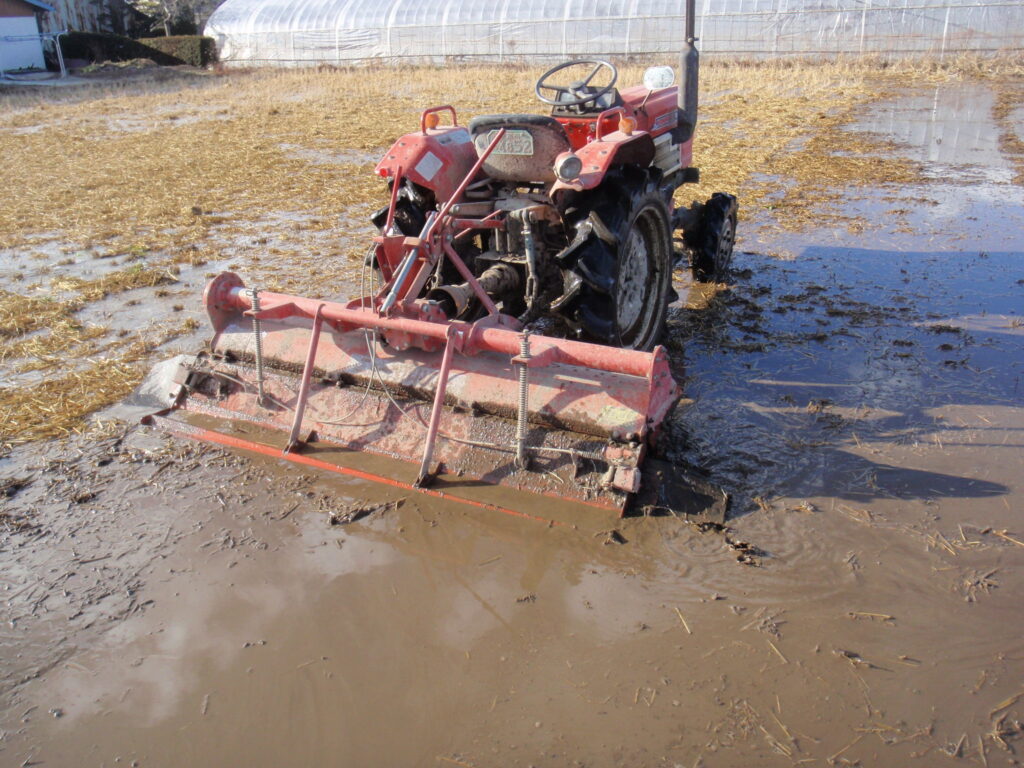 冬期代掻きをしている様子