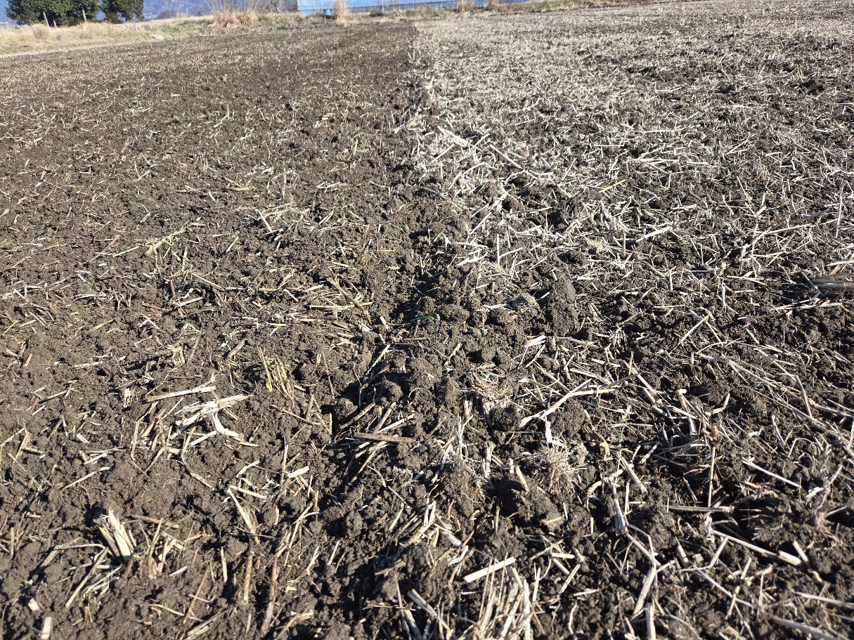 冬期耕起3回目の田んぼの様子