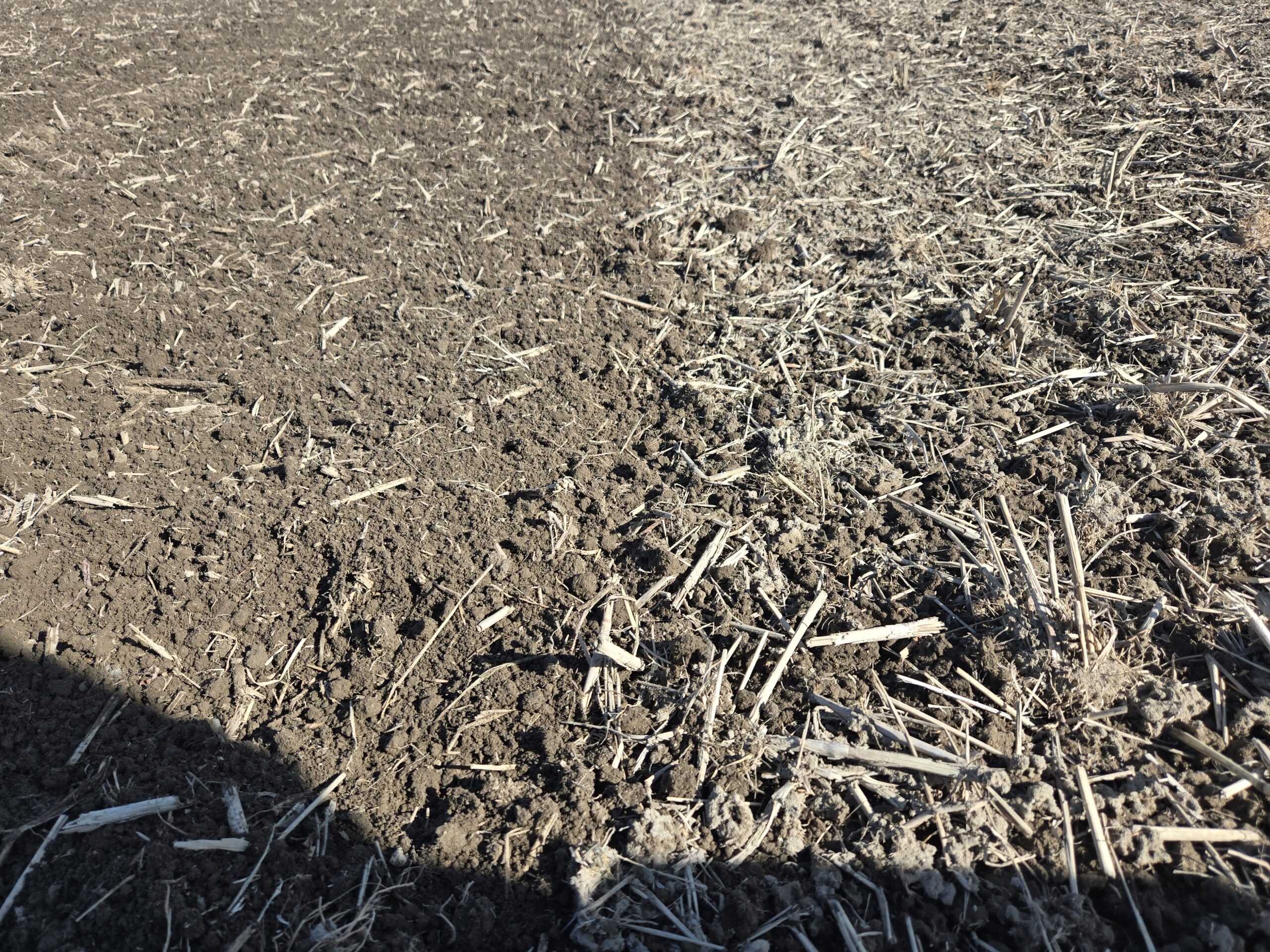 冬期耕起4回目の田んぼの様子