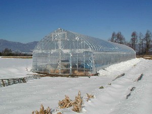 発酵肥料を作っていたハウス
