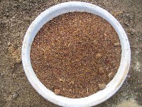 無農薬米農家が自作する発酵肥料の材料の菜種かす