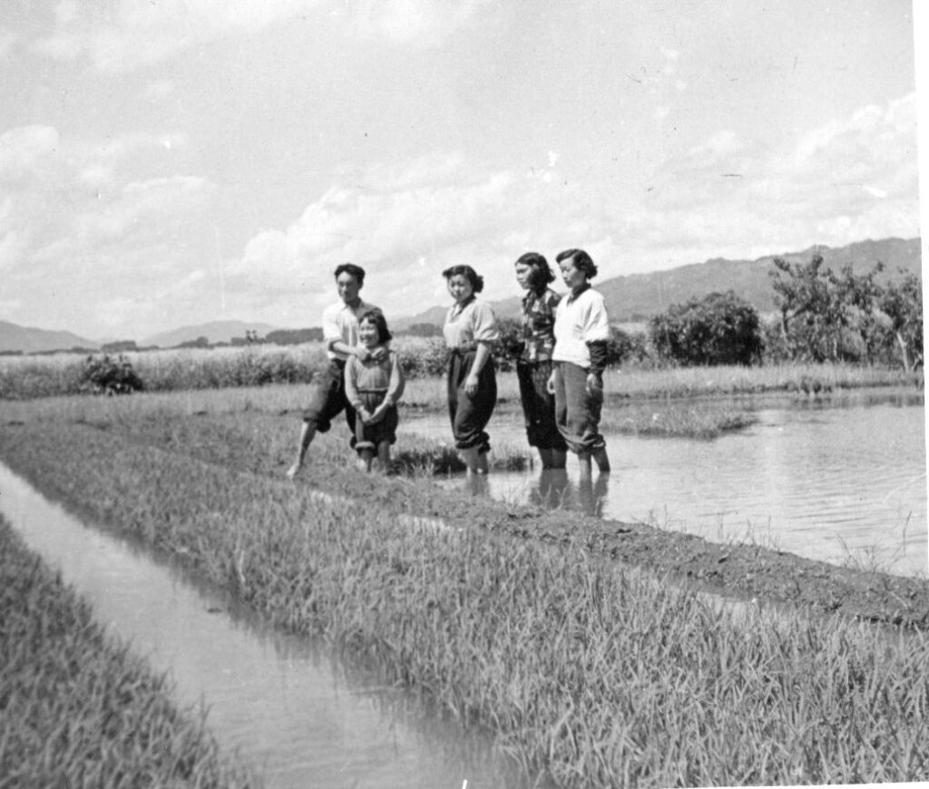 農作業の合間に一休みする米農家中西の家族(左端が三代目)