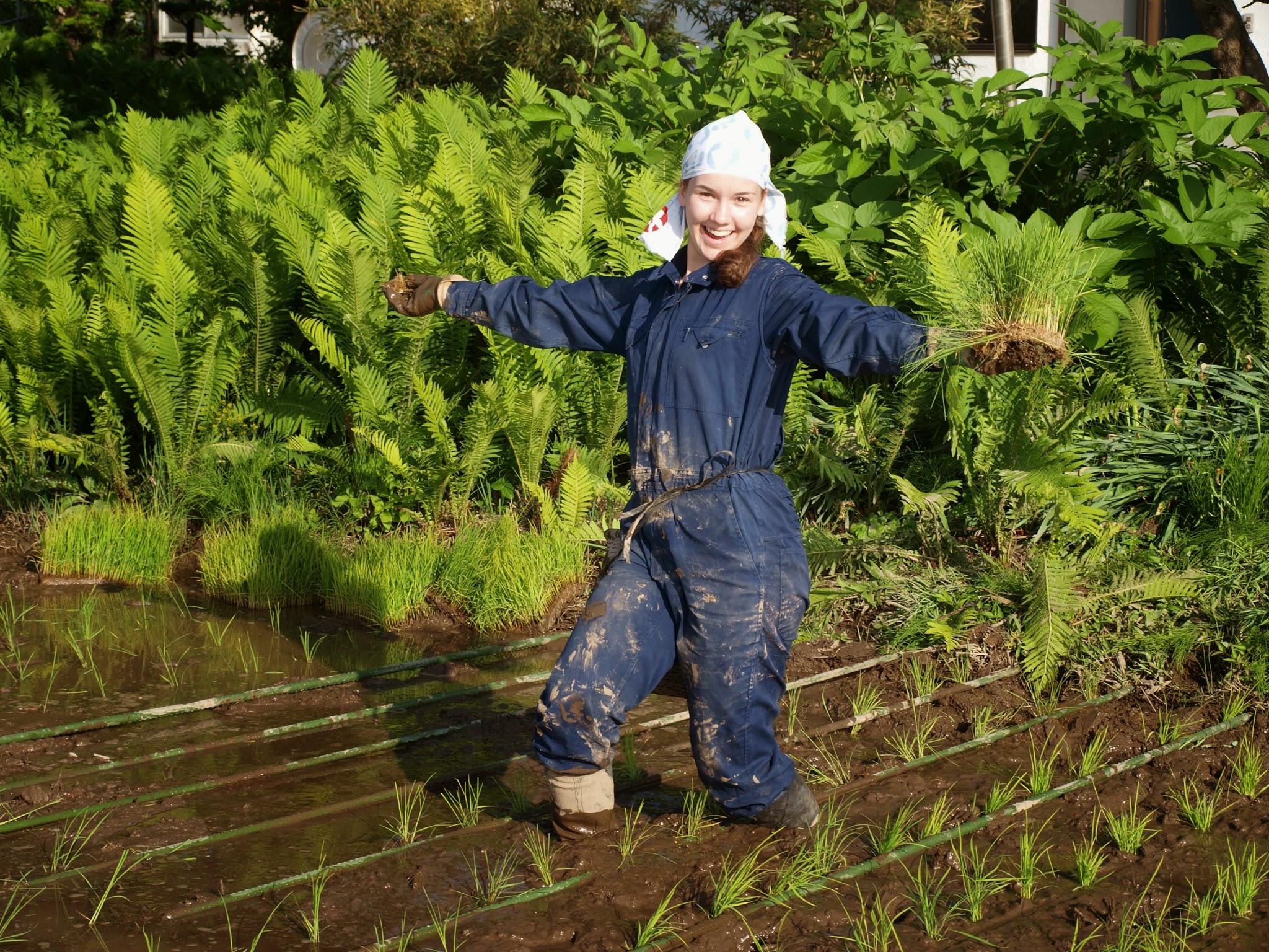 ドイツ留学生と米づくり|GFPに参加する信州の農家の想い