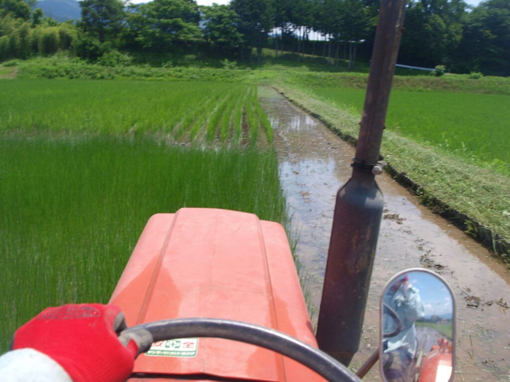 ひたすらトラクターで、代掻きを繰り返し、クログワイ根絶に注力している様子